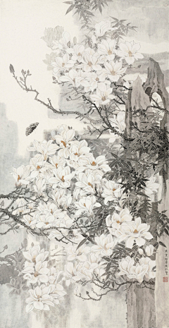 雪~洛采集到工笔