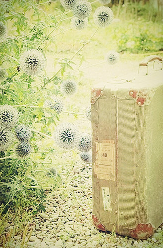 LOMO行李箱,带上它去旅行吧-LOMO...
