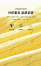 JM03025新优化_09.jpg