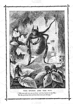 维多利亚插画童谣《蜘蛛和苍蝇》