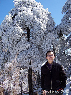 zhm616192采集到2009年黄山雪景难忘之旅
