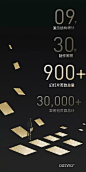 不二素鱼汤
