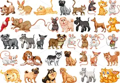 宠物,性格,可爱的,纯种犬,狗,巴哥犬,动物,比格犬,西伯利亚哈士奇犬,布置