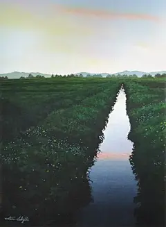 阿瓦尔古丽的相册-行云流水