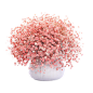 edb539827cff84ff.png (800×800)