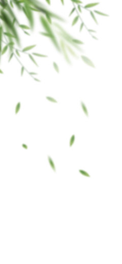 用户VGzm33tH采集到植物（免扣）