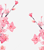 粉色樱花节樱花装饰图案免抠png素材_新图网ixintu.com