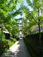 地产—绿城(62图)_@一土ETOO收集_花瓣建筑设计绿城御园53