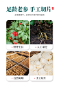 聚和泰 西洋参片250g长白山花旗参含片磨粉泡水泡酒红人参整枝切片皂苷搭黄芪枸杞补气养生茶 1.4cm特大片250克【需要打粉请备注】【图片 价格 品牌 报价】-京东