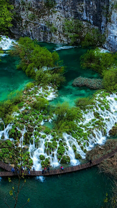 糖荳采集到风景