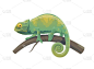 热带动物变色龙蜥蜴病媒设计。绿色爬行动物，有弯曲的尾巴行走在丛林中树枝或马达加斯加热带雨林的棕榈树上
