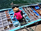 西贡的小艇卖海鲜很有特色，我们又搓了一顿海鲜午餐…海鲜便宜，但餐厅收的加工费贵了…,会飞的裤子