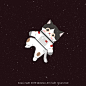 太空舱——猫咪