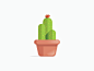 Potted Cactus