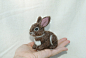 Needle Felted Bunny Rabbit by amber-rose-creations on deviantART