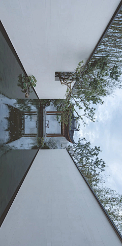 YI-WooD采集到A-柏影(建发）