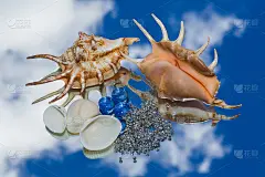 海贝壳，装饰玻璃