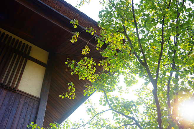 DSC_1635副本