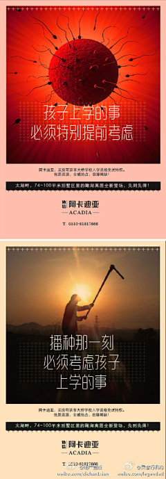 靠海的地方采集到教育