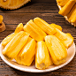 海南特产黄肉菠萝蜜当季新鲜热带水果40斤一整个自家种木菠萝密红-tmall.com天猫