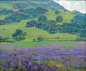 图片：Bonhams : William Wendt (American, 1865-1946) Lupine patch 25 x ... : 在 Google 上搜索到的图片（来源：bonhams.com）