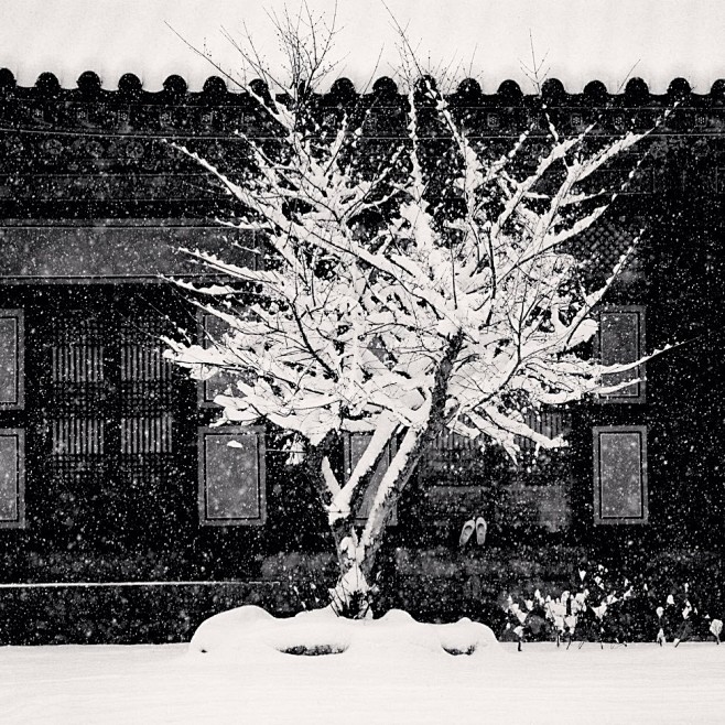 雪的写意 Michael Kenna ​...