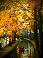 秋天，乌得勒支，荷兰