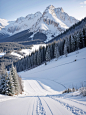 snow (22)