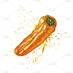 橙黄色小胡椒粉，可喷洒。新鲜的甜辣椒。手绘水彩艺术孤立的白色背景。菜单设计的食物插图