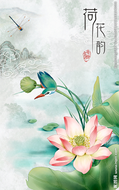 子问采集到花卉·荷花
