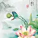 荷花