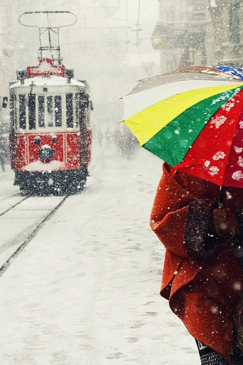 风雨路佳人！