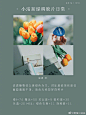 黄油相机11种宝藏调色分享，收藏试试~ 
cr：草莓小绒绒 ​​​​