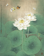 2012-君子爱莲