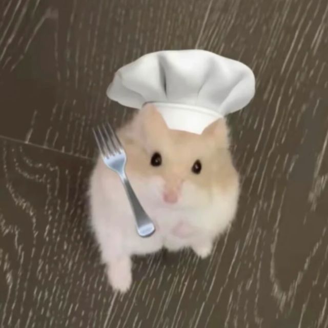 小吱吱~