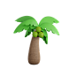 Coconut