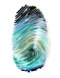 A current on-going project of mine is taking the most personal part of someone's physical identity - their thumbprint - and rendering it in one of the most delicate and beautiful art forms, quilling.: 