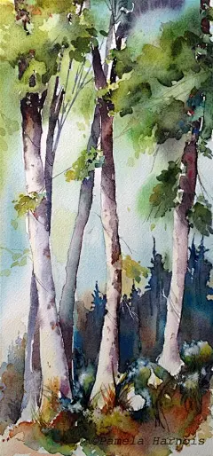 树木插画系列图集丨手绘树木作品水彩素描场景案例