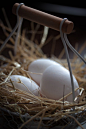 Eggs in a basket on the hay for Easter. selective focus - stock photo