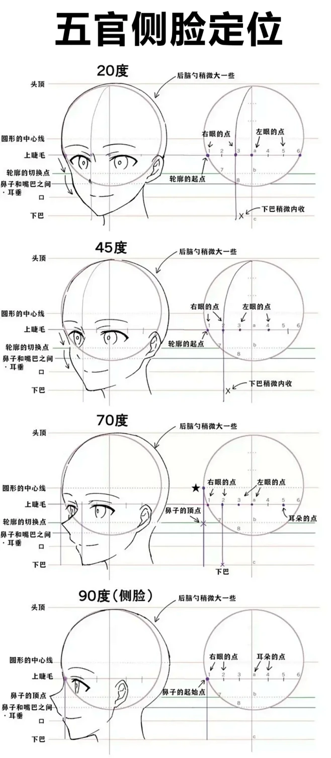 五官定位教程|侧面后续来啦！-花瓣网