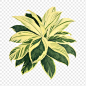 czNmcy1wcml2YXRlL3Jhd3BpeGVsX2ltYWdlcy93ZWJzaXRlX2NvbnRlbnQvay1wZDctNjQ3My1qai1jaGltLTAyNDZfMS5wbmc.png (1300×1299)