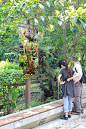 台北植物園 Taipei Botanical Garden : The re-design project for Taipei Botanical Garden. 