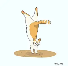 猫咪迷惑行为大赏！这40个猫咪的爆笑瞬间，每一张都是表情包哈哈哈哈 (30)