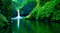 green jungle landscapes moss nature wallpaper (#160778) / Wallbase.cc