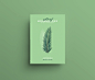 Leaf Morphology