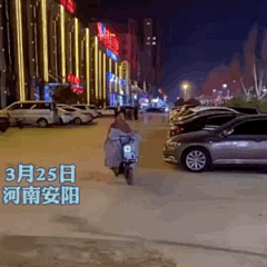 Hachiko采集到动图