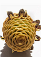 蜂巢姜 beehive ginger：学名 Zingiber spectabile，也称黄球姜，花序构造奇特。姜科姜属，该属共有30种，分布于亚洲的热带、亚热带地区。