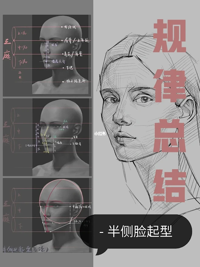 【procreate】素描基础-半侧面头...