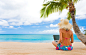 woman-seaside-more-plyazh-pesok