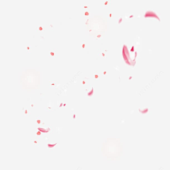 一树南家采集到樱花节